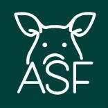 Przejdź do - Komunikat Głównego Lekarza Weterynarii o ognisku afrykańskiego pomoru świń (ASF) u świń