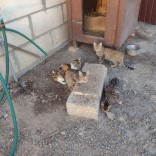 Powiększ zdjęcie 